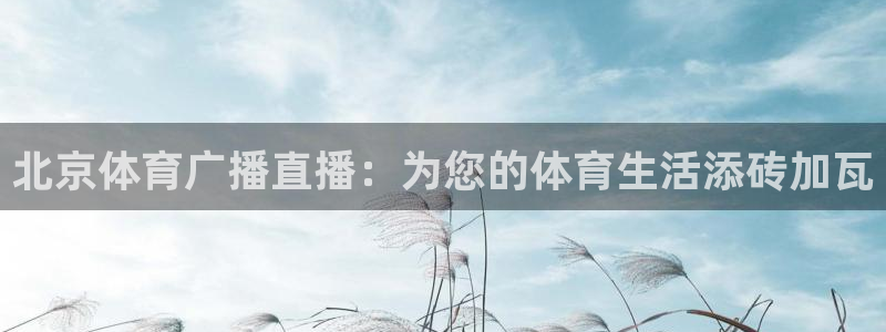 咪咕体育直播在线看：北京体育广播直播：为您的体育生活添砖加瓦