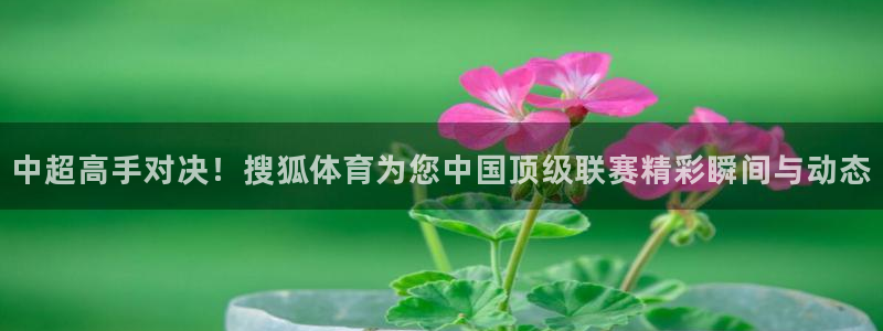 咪咕体育网页版入口：中超高手对决！搜狐体育为您中国顶级联赛精彩瞬间与动态
