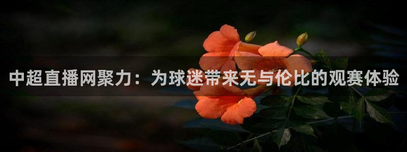 咪咕体育下载