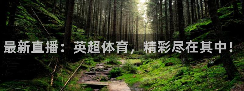 咪咕体育是哪个公司的