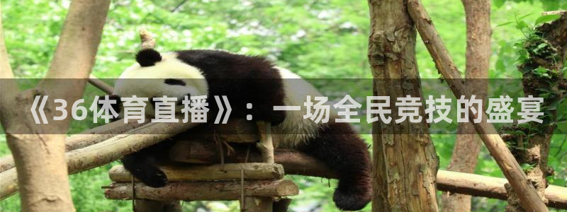 咪咕体育直播app下载