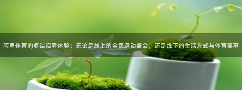 咪咕体育是哪个公司的