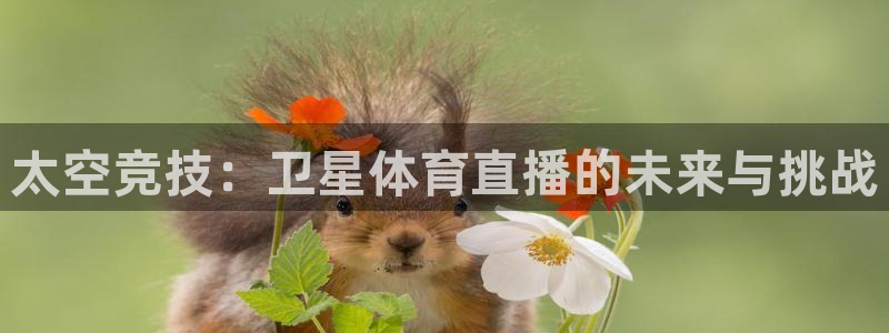 下载咪咕体育视频