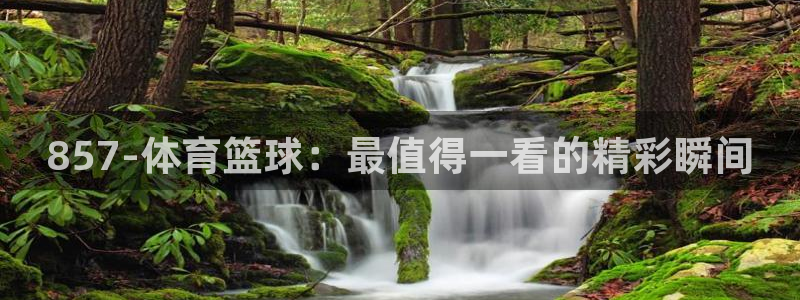 咪咕体育网页版入口
