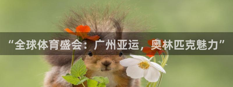 咪咕体育直播