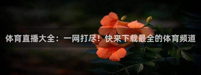 咪咕体育直播 免费