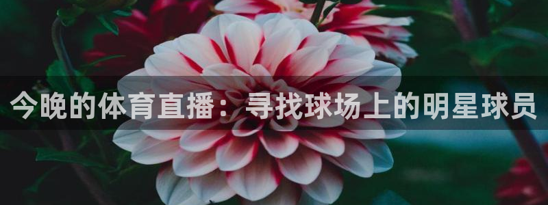 咪咕体育客服电话