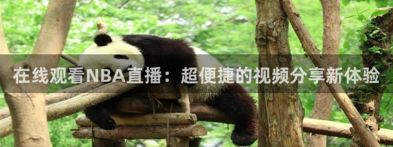 下载咪咕体育视频
