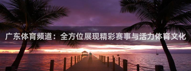 咪咕体育下载：广东体育频道：全方位展现精彩赛事与活力体育文化