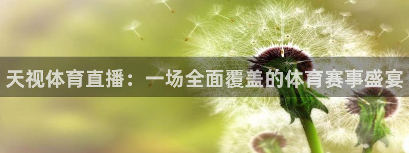 咪咕体育官网：天视体育直播：一场全面覆盖的体育赛事盛宴