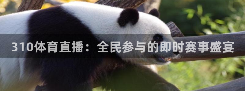 咪咕体育直播免费观看：310体育直播：全民参与的即时赛事盛宴
