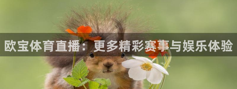 下载咪咕体育视频：欧宝体育直播：更多精彩赛事与娱乐体验