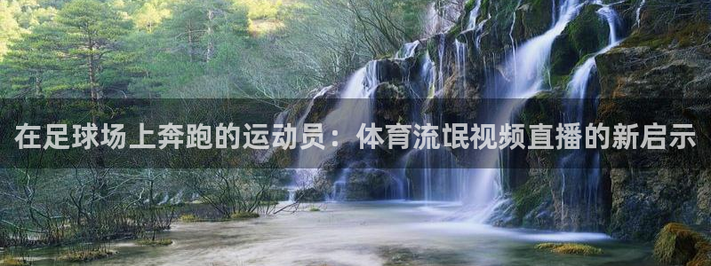咪咕体育直播：在足球场上奔跑的运动员：体育流氓视频直播的新启示