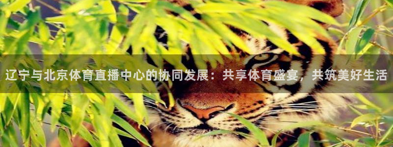 咪咕体育直播在线观看：辽宁与北京体育直播中心的协同发展：共享体育盛宴，共筑美好生活